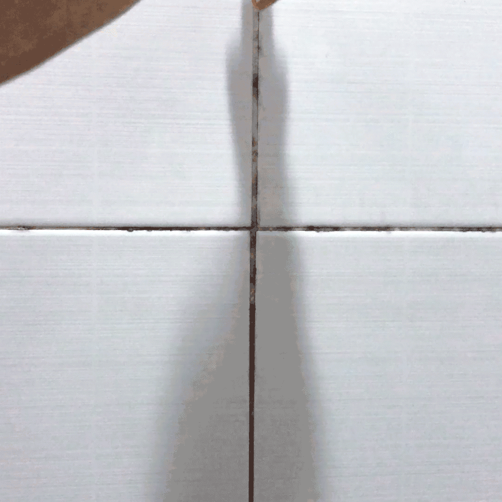 Mold Remover Gel | Remove mold and mildew