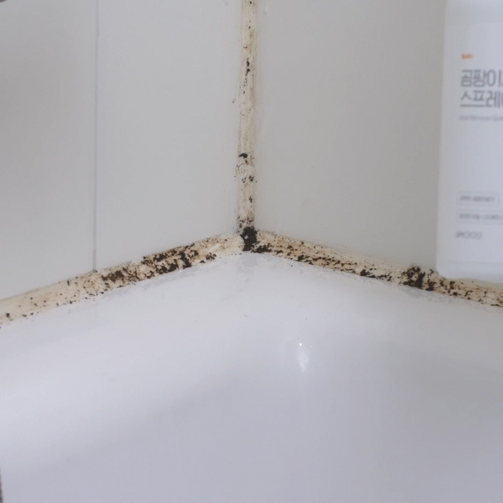 Mold Remover Spray | Remove mold and mildew