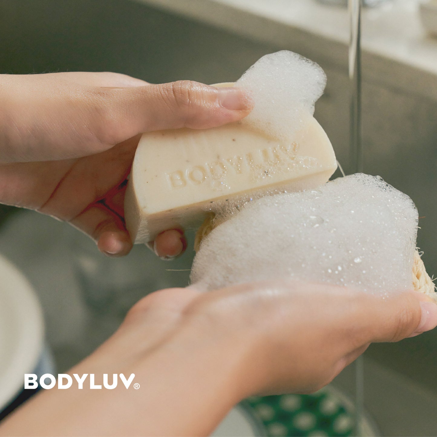 Homegudd Dish Soap Bar (Expiry at Dec,2023)