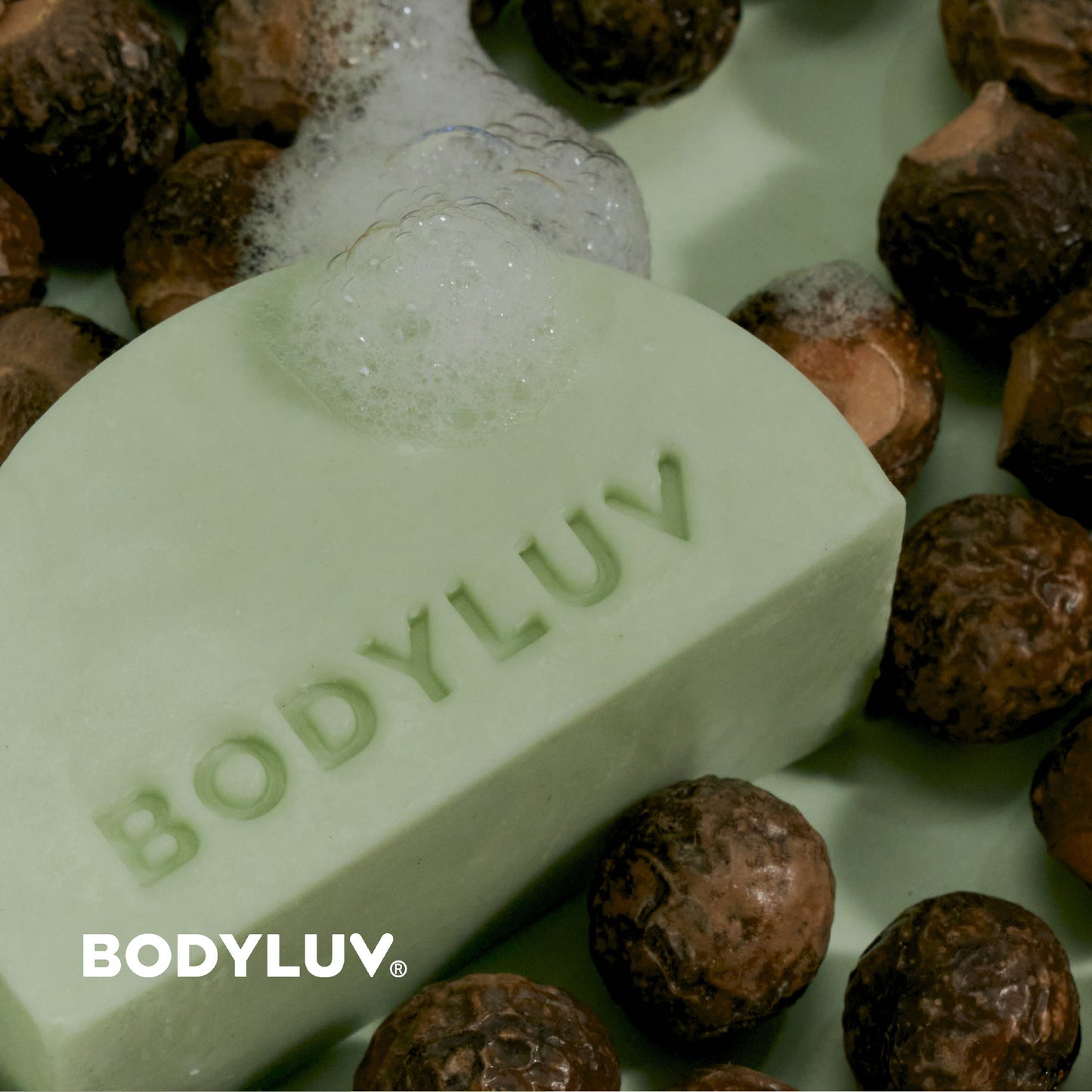 Homegudd No-Sebum Shampoo Bar