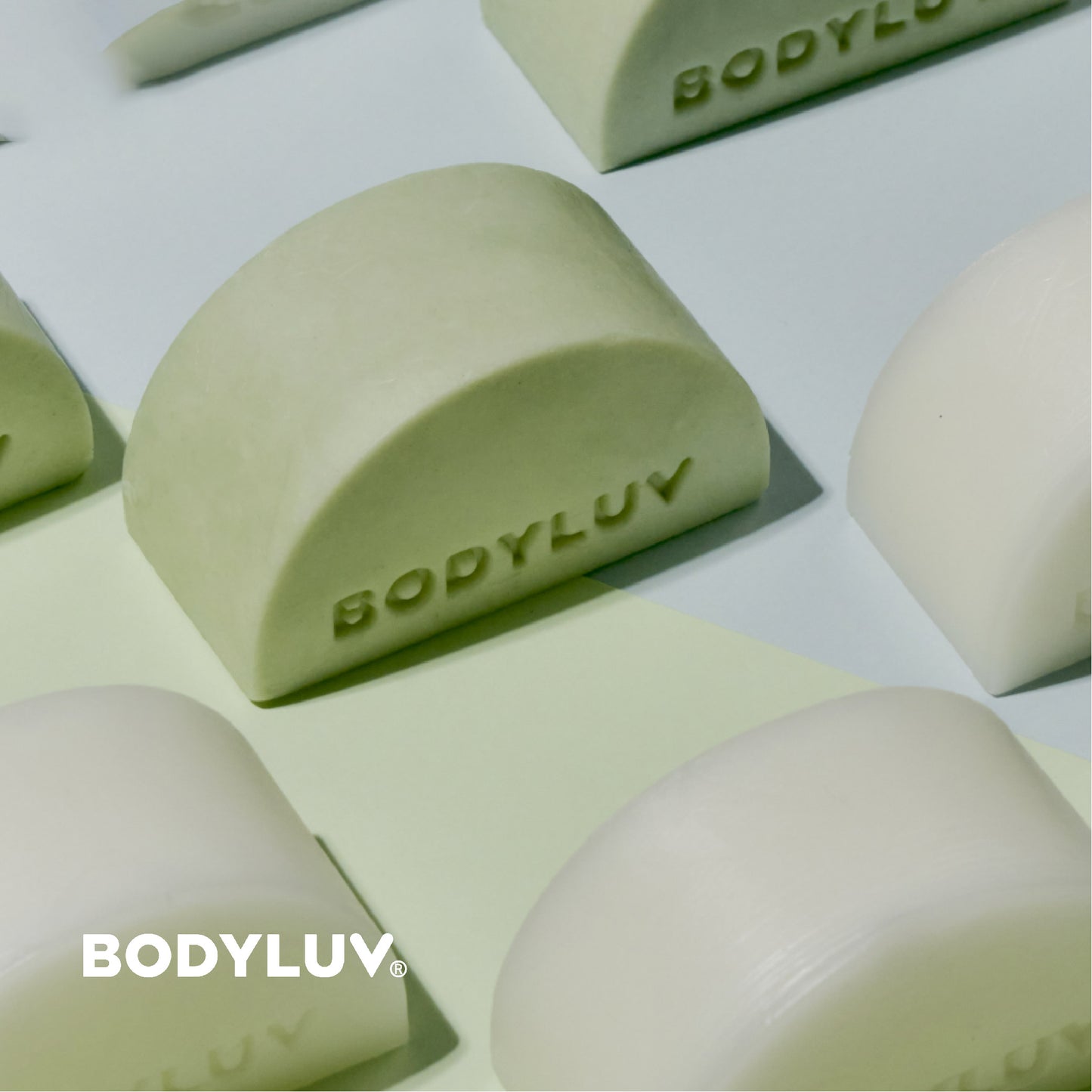 Homegudd No-Sebum Shampoo Bar
