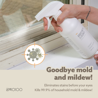 Mold Remover Spray