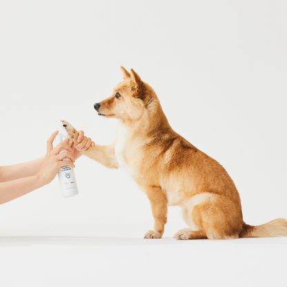 Waterless Bubble Cleanser (150ml) | Pet Paw & Body Cleanser