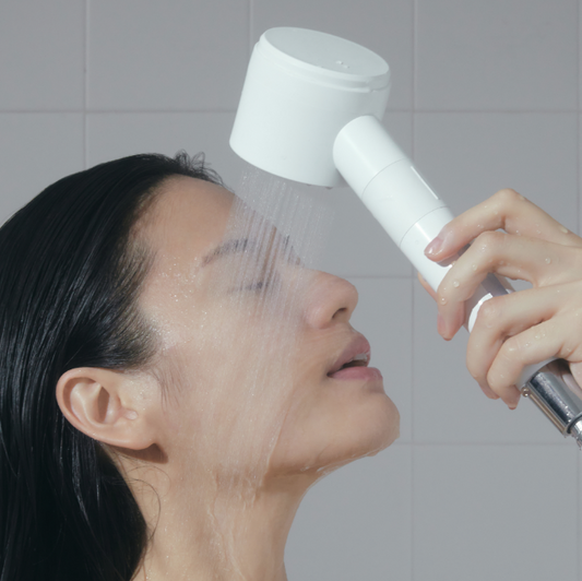 Signature Vita Showerhead | Filters (NEW!)