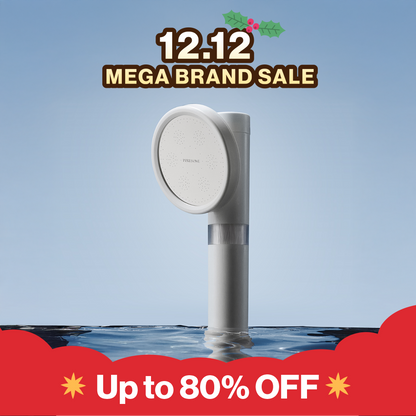 Puresome Paramax Showerhead | Filters