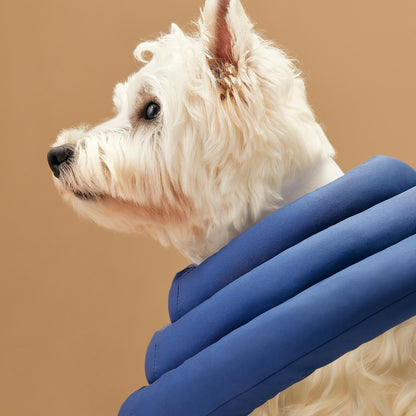 UFO Neck Collar | Wound Recovery Collar