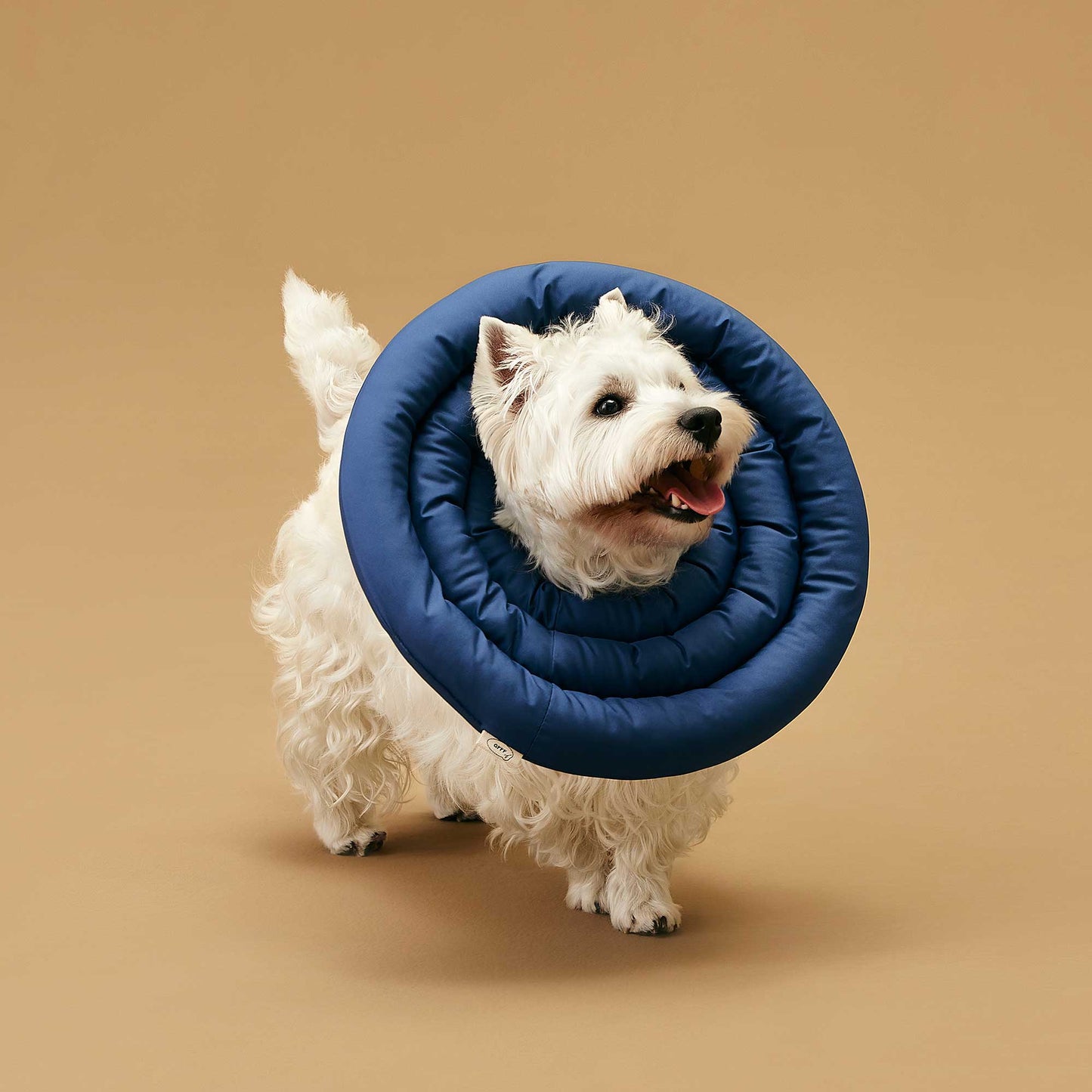 UFO Neck Collar | Wound Recovery Collar