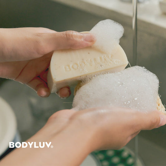 Homegudd Dish Soap Bar (Expiry at Dec,2023)